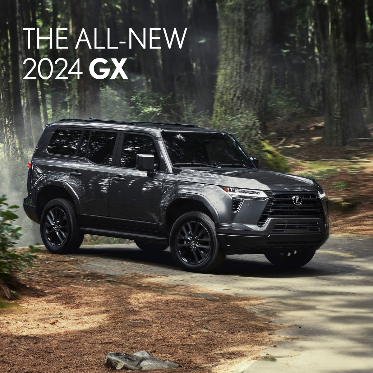 The All-New 2024 GX