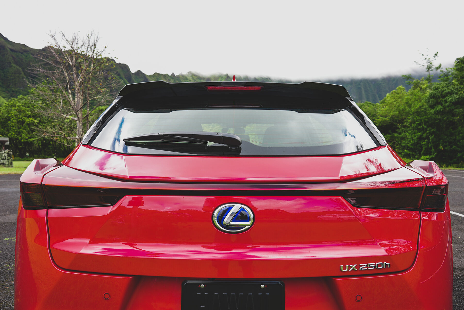 hybrid-battery-warranty
