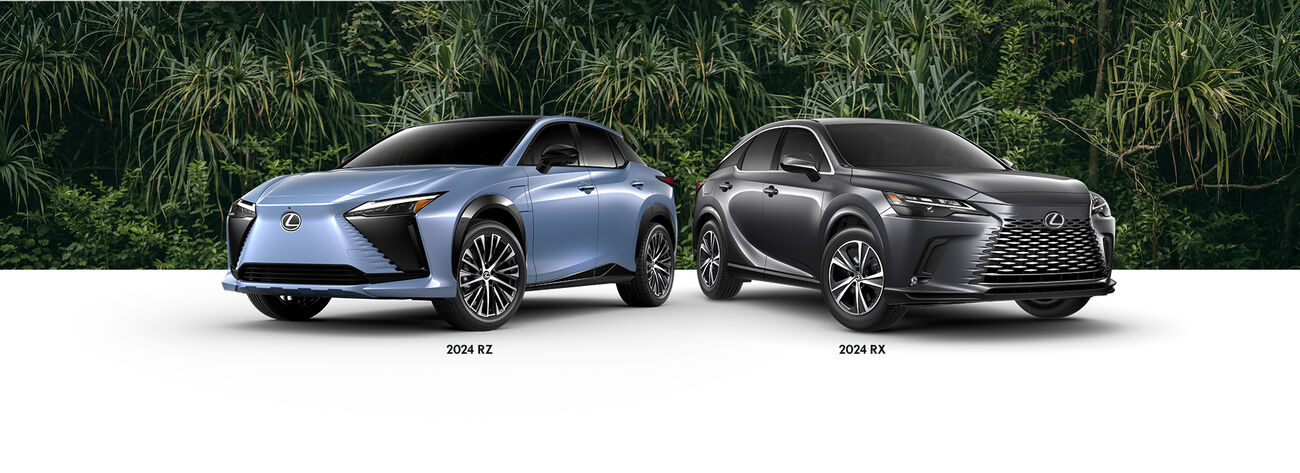 2024 RZ, 2024 RX