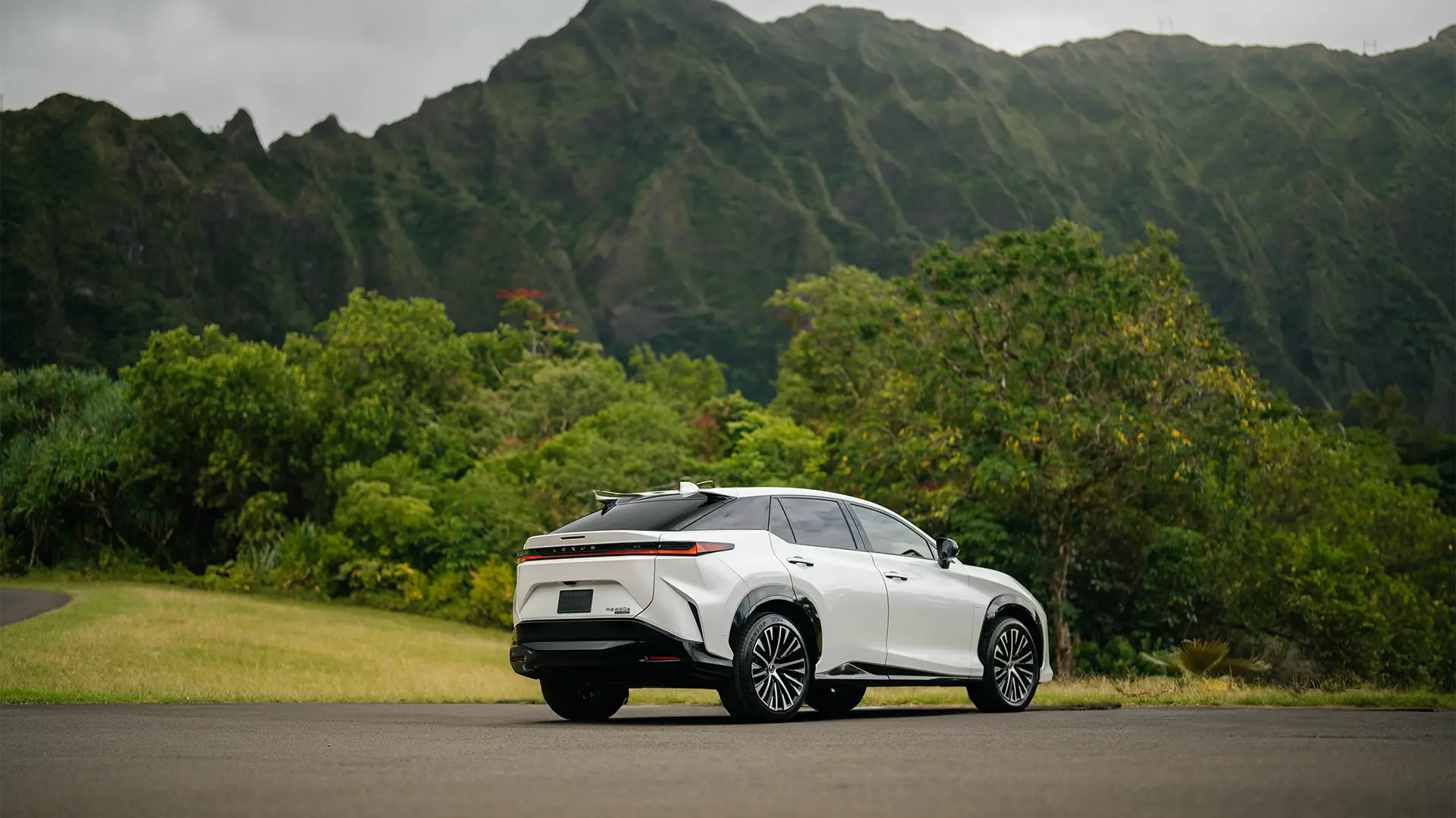 2025 RZ 450e Luxury shown in Iridium