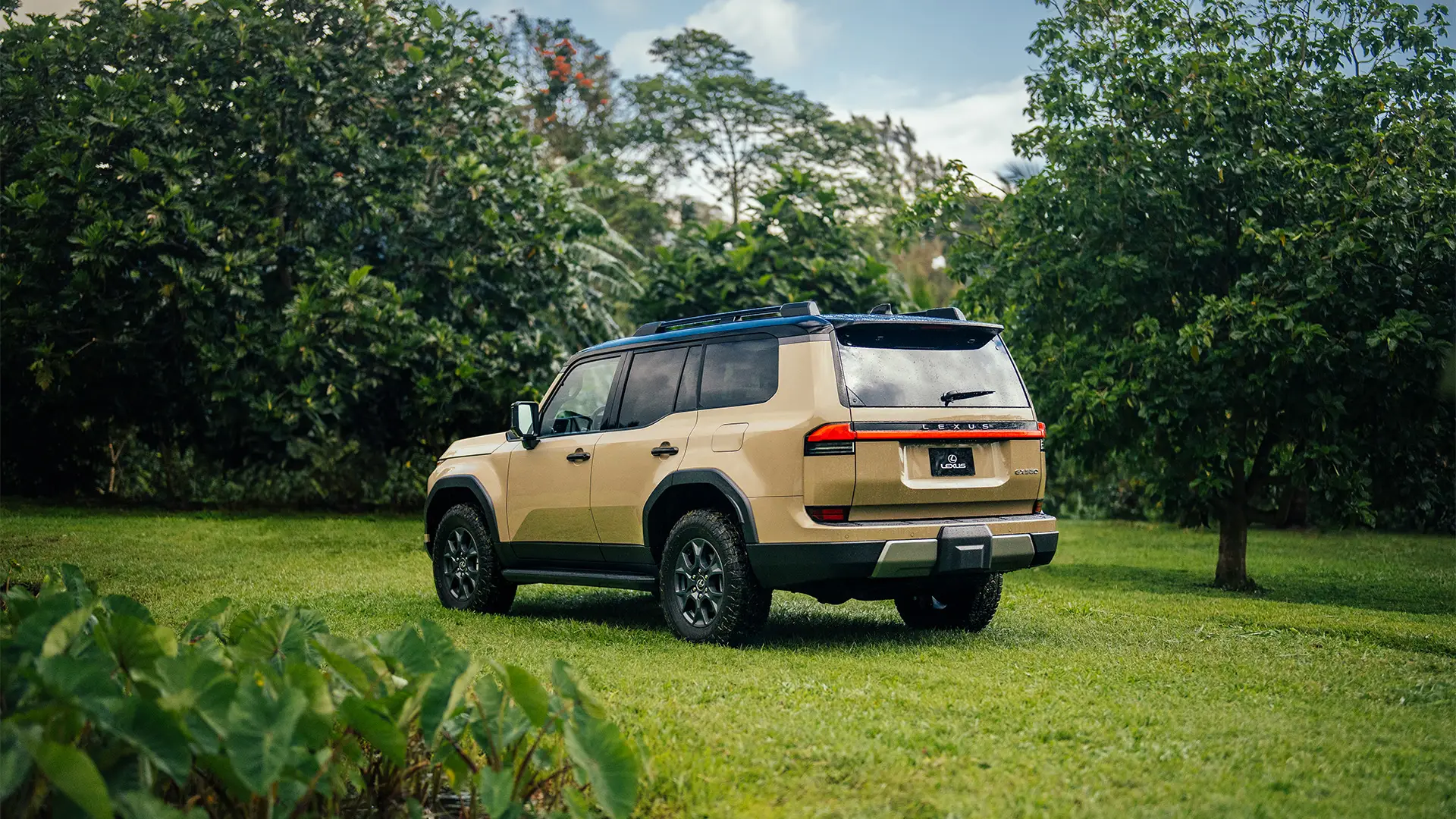 GX 550 Overtrail shown in Earth and Black Onyx