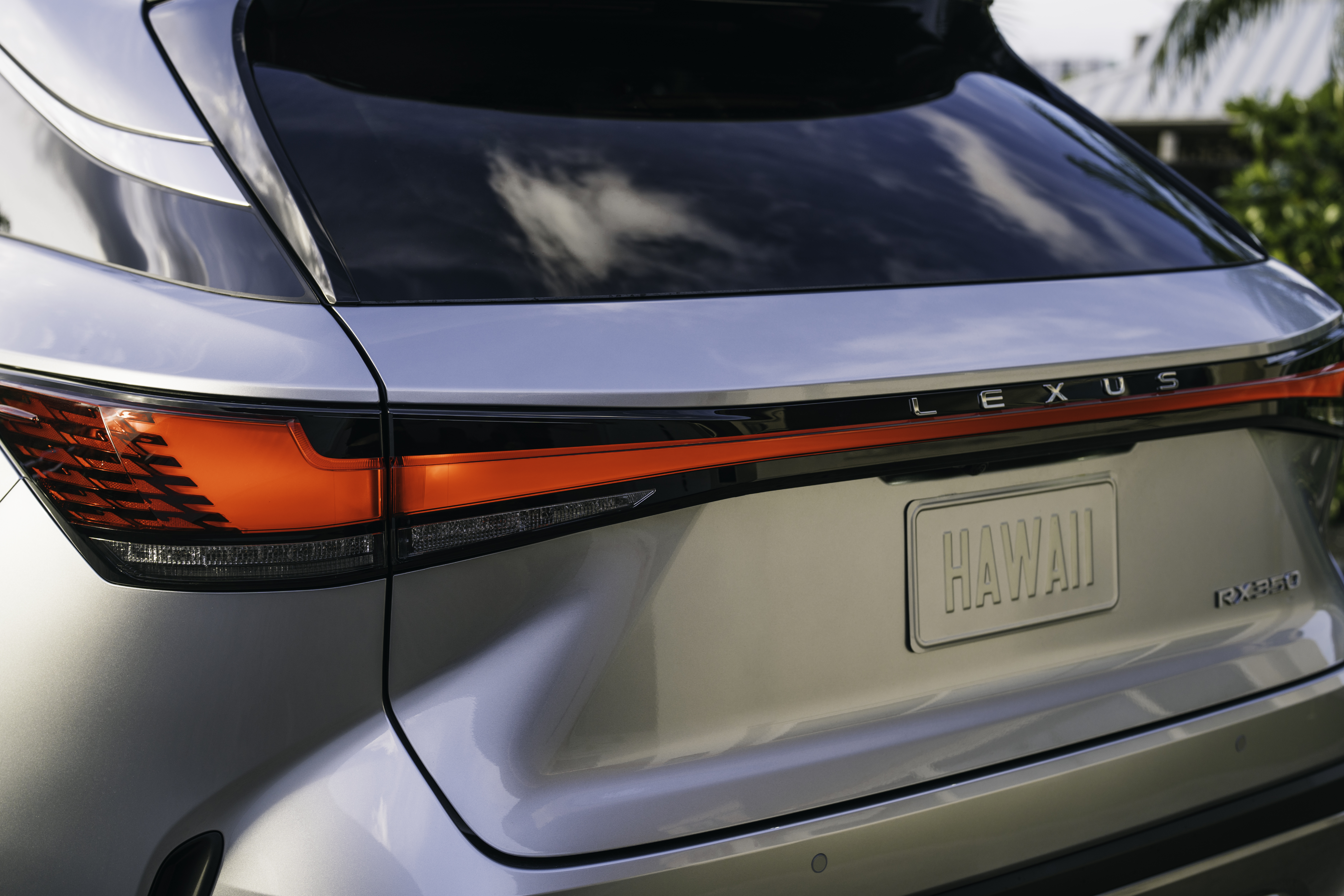 Back view of the RX 350 Premium