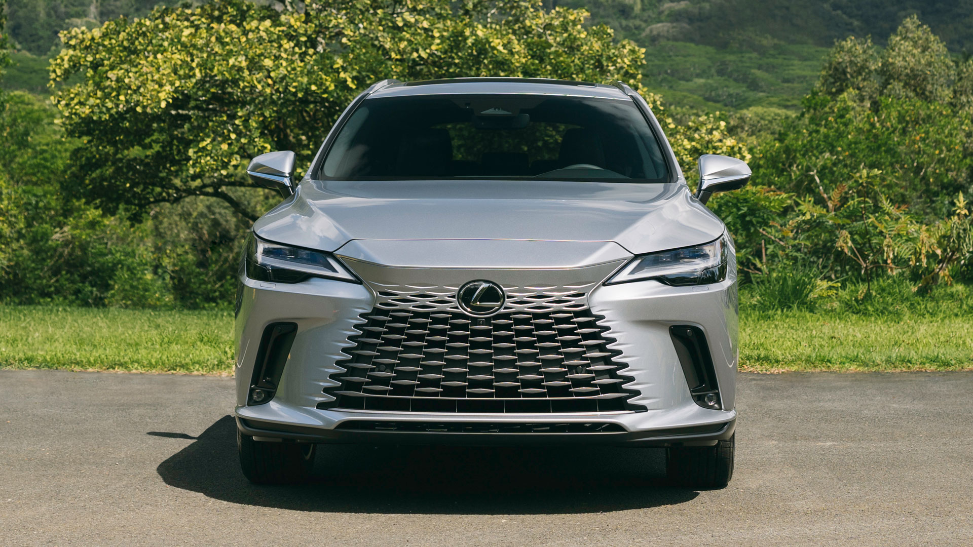 2025 Lexus RX 350 Hybrid Iridium parked in front of very green trees and mountain range.