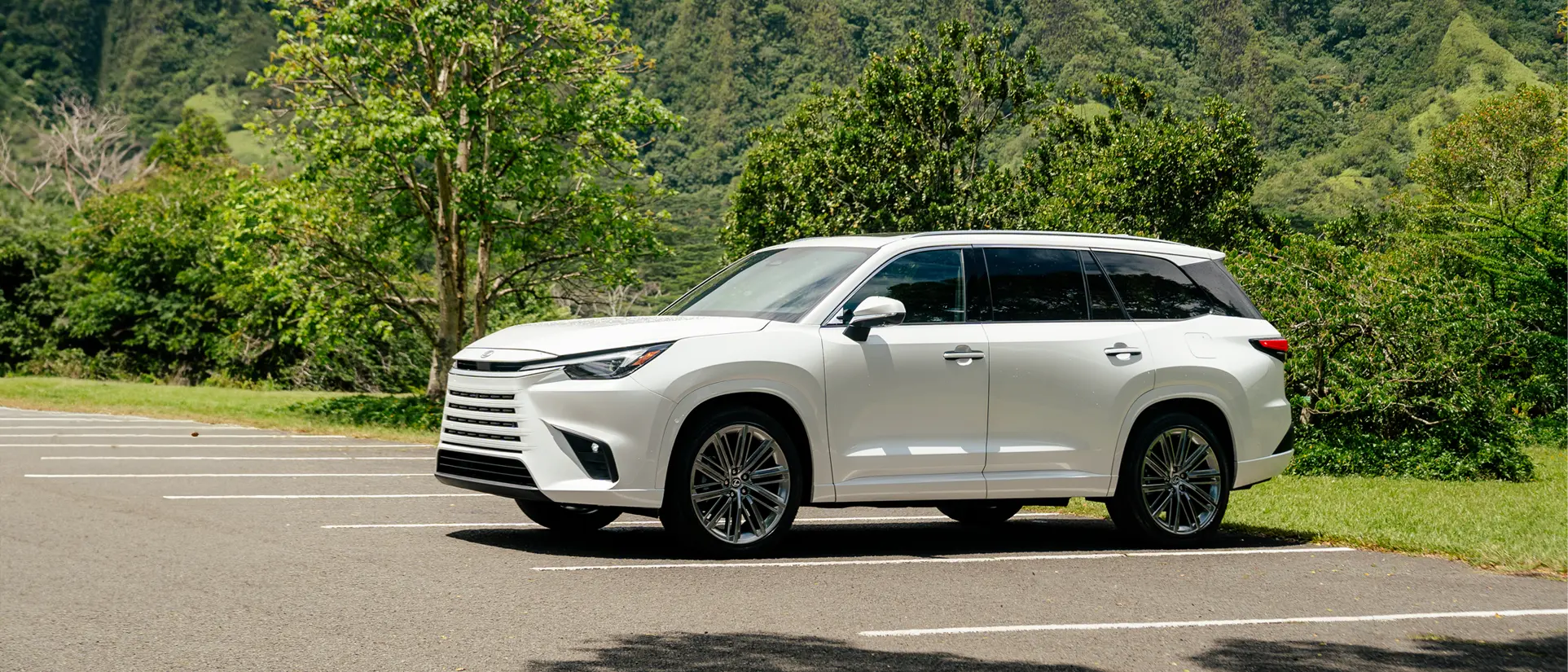 2026 Lexus TX 350 Wind Chill Pearl parked by lush garden