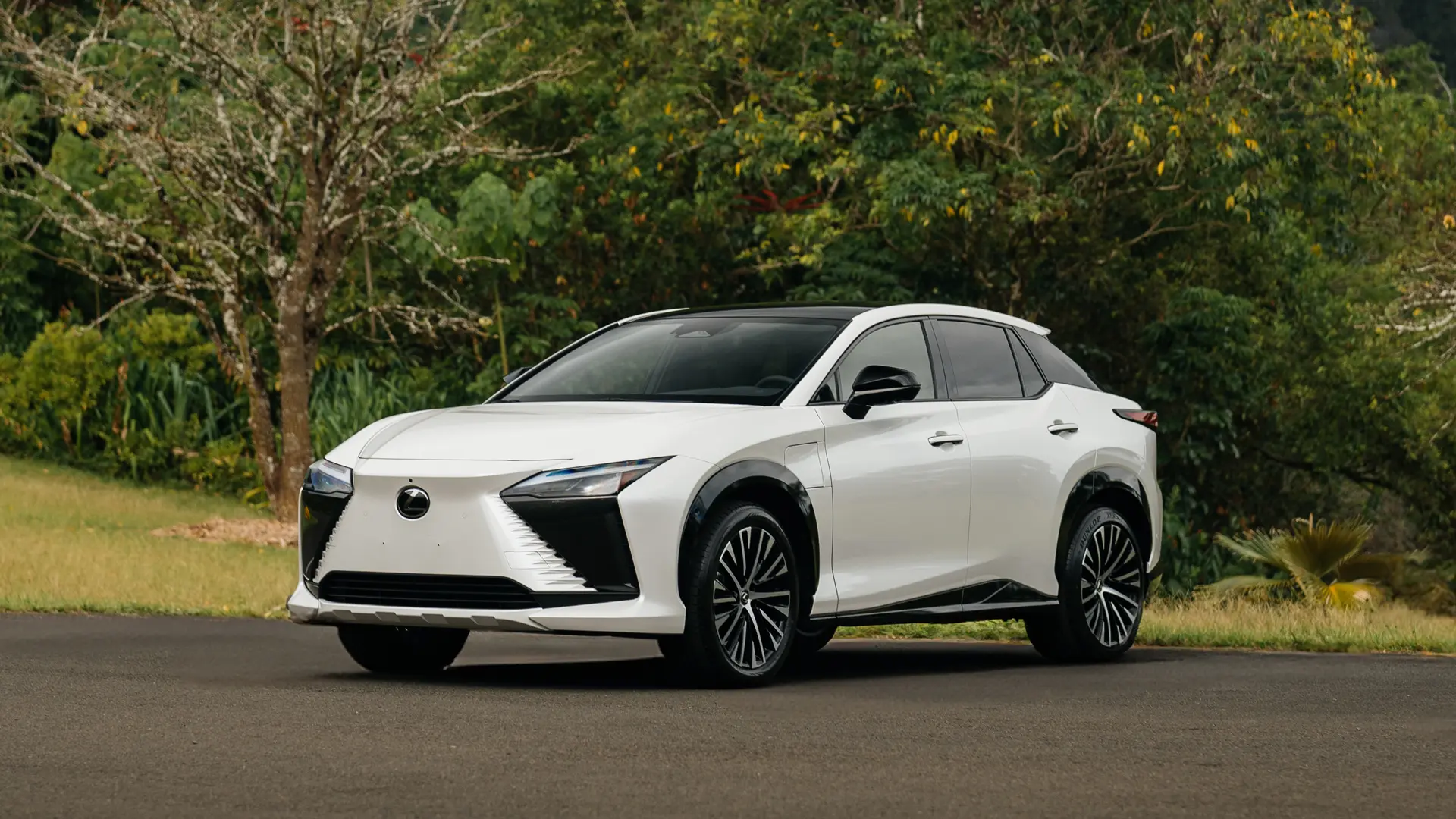 2025 RZ 450e Luxury shown in Iridium