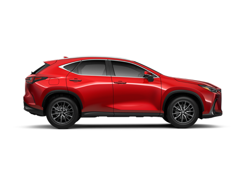 2023 NX
